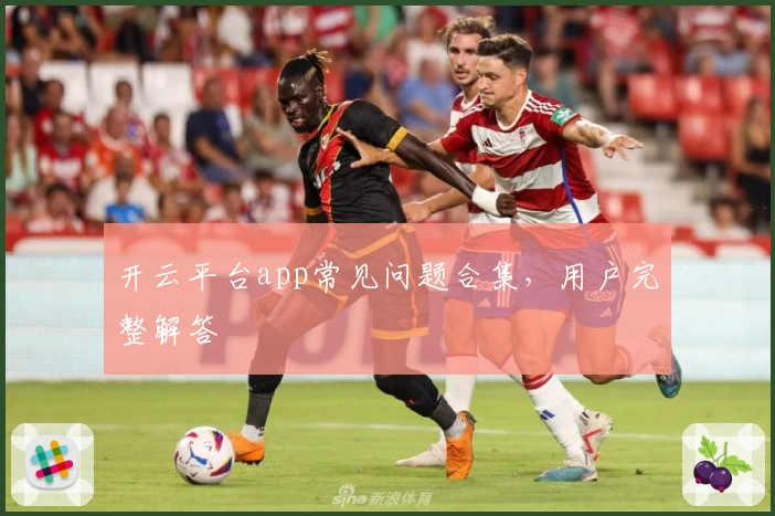 开云平台app常见问题合集，用户完整解答