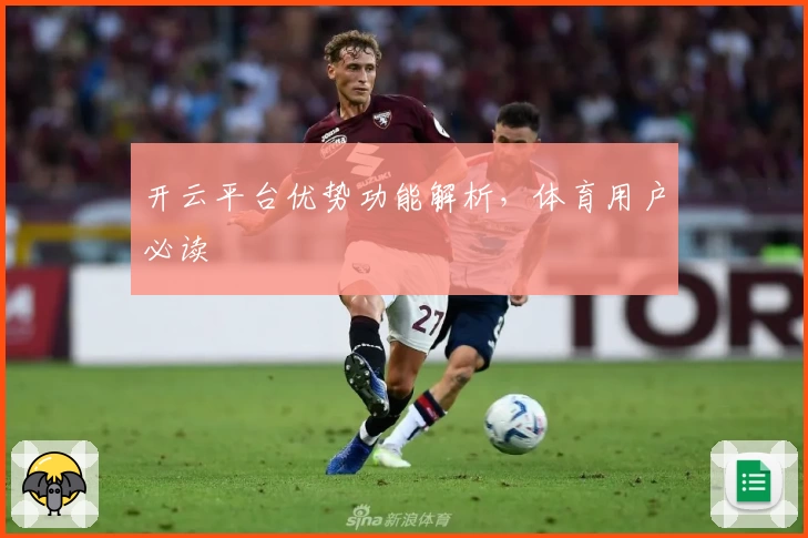 开云平台优势功能解析,体育用户必读