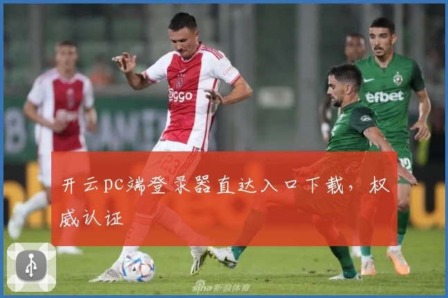 开云pc端登录器直达入口下载，权威认证