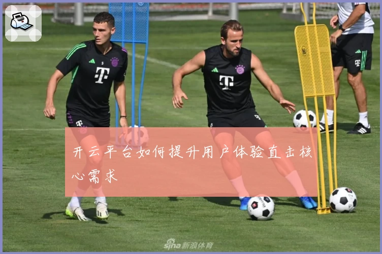 开云平台如何提升用户体验直击核心需求